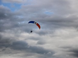 rodenberg2025 115